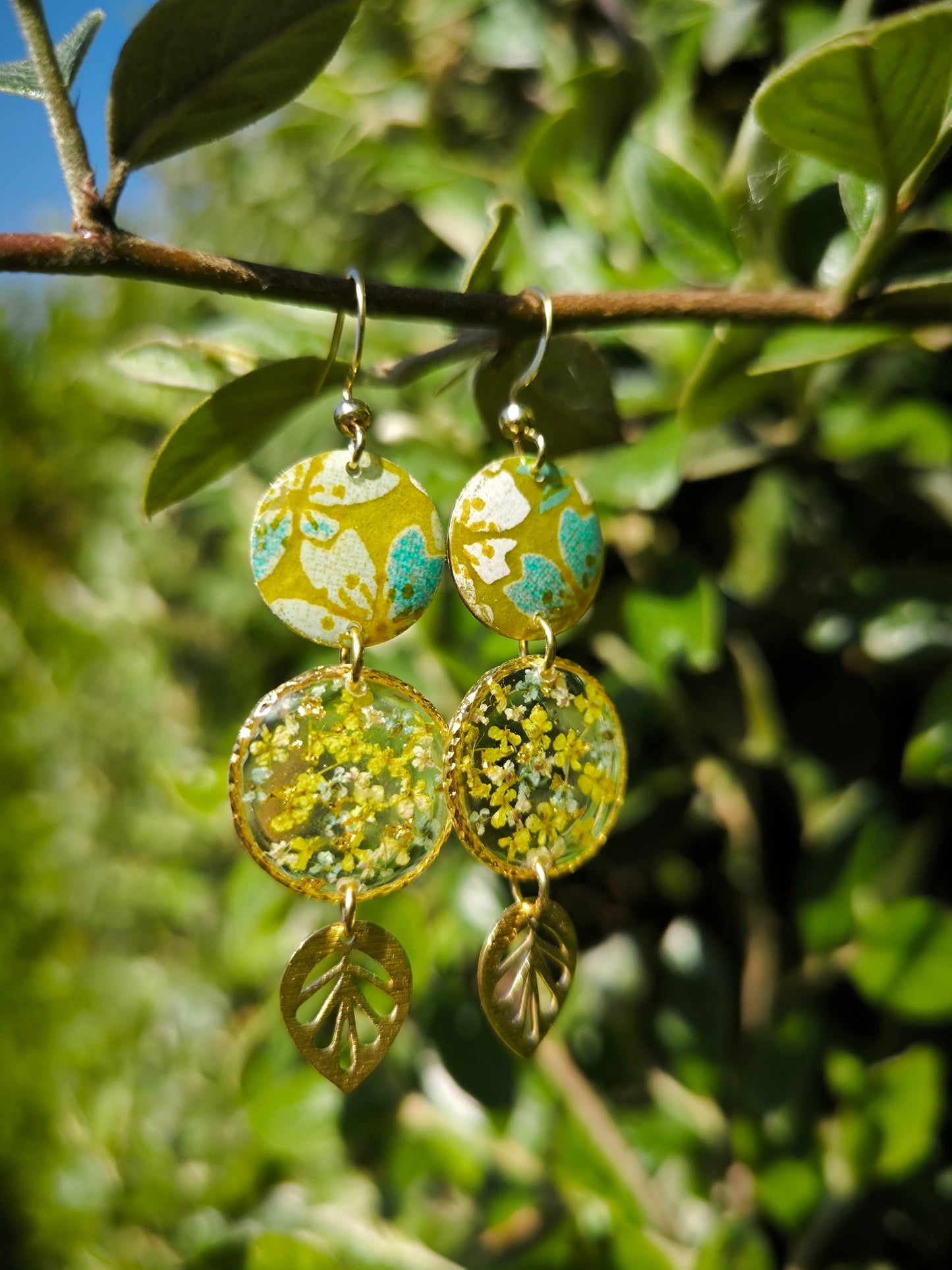 Boucles d’oreilles menthe citronnée - fleurs naturelles – Fleur de carotte & acier doré