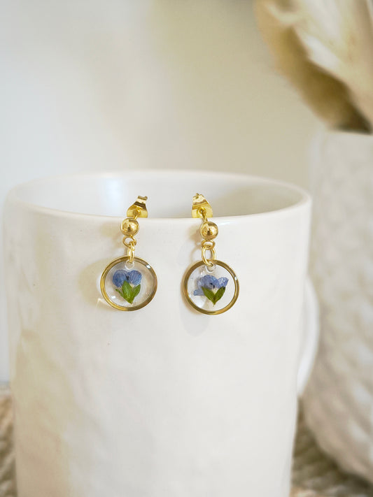 Mini Boucles d'oreilles florales : Myosotis