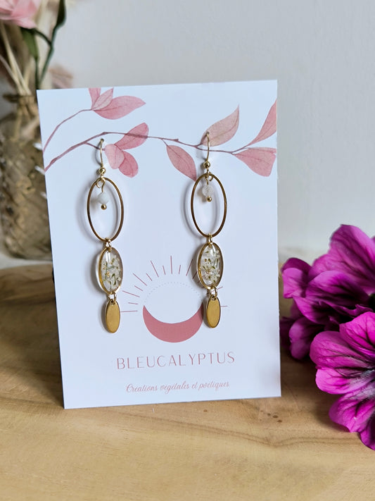 Boucles d'oreilles rondes : Pureté