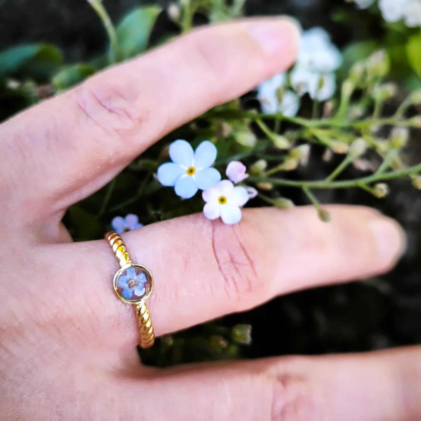 Bague " Souvenir " - fleurs naturelles – Myosotis &  acier doré