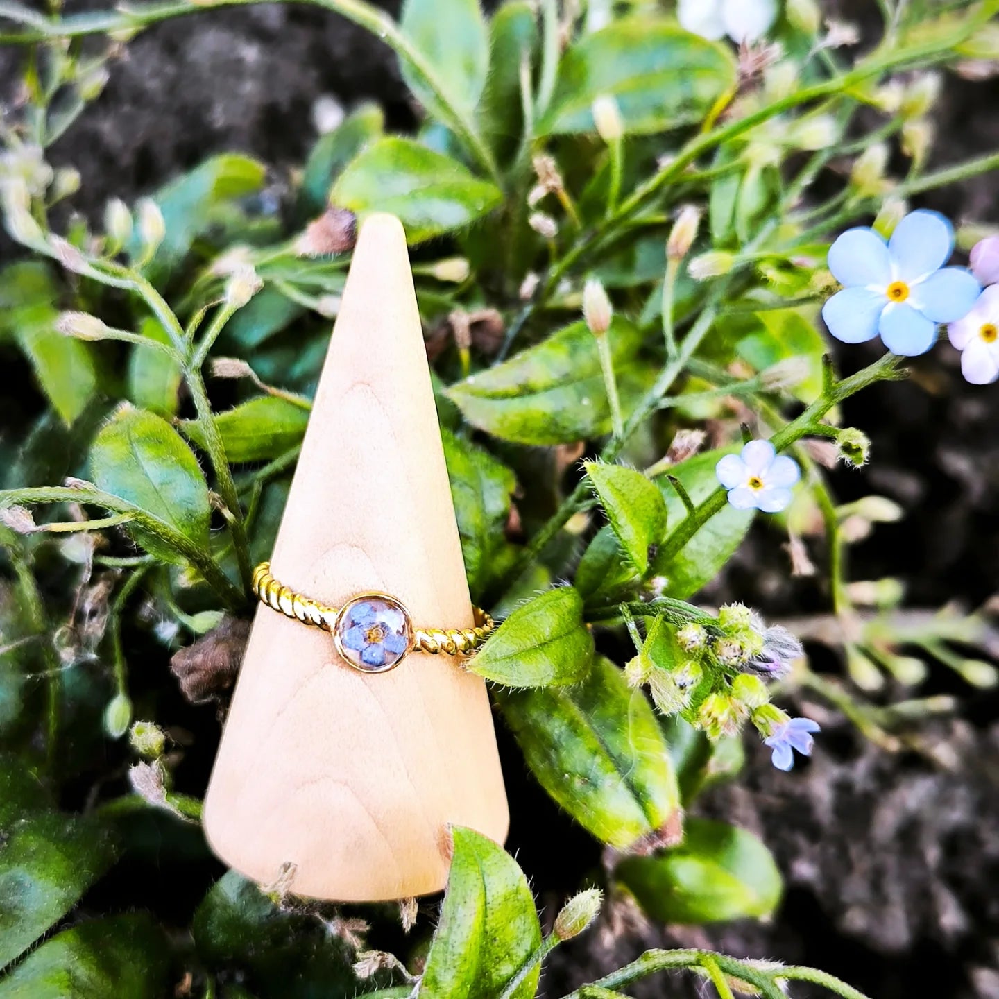Bague " Souvenir " - fleurs naturelles – Myosotis &  acier doré